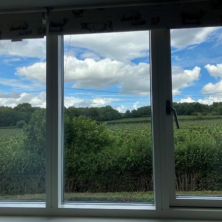 Withy Farm Bed & Breakfast Canterbury Luaran gambar